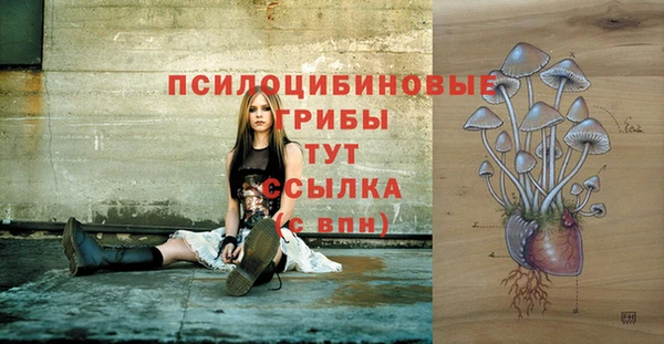 бошки Баксан