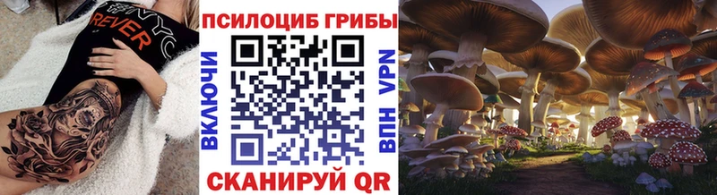 где продают   Пересвет  Псилоцибиновые грибы мухоморы 